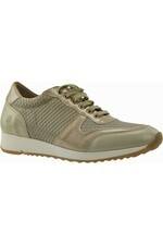 JJ Sneaker Bermuda H-leest beige